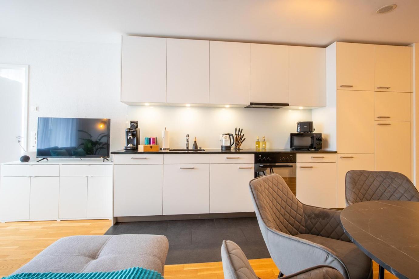 Special Einstein I Apartment Basel, Messe Kleinbasel 10-Star 외부 사진