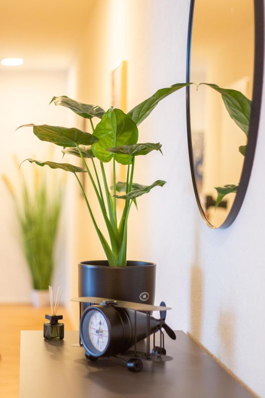 Special Einstein I Apartment Basel, Messe Kleinbasel 10-Star 외부 사진